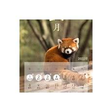 国宝级真品天珠图片