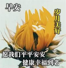 最新早安动态图片